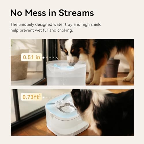 Pumpless Dog Water Elfin Fountain