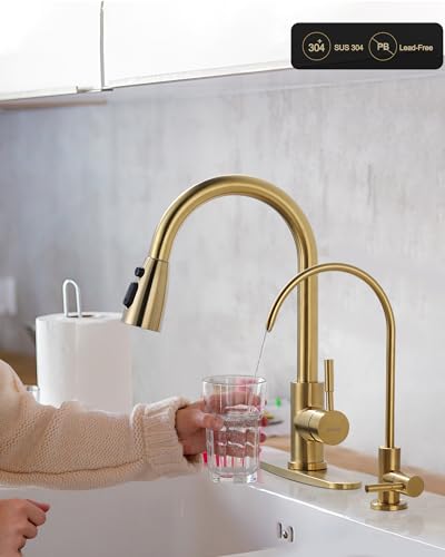 Kitchen Faucet and Water Filter Faucet Combo