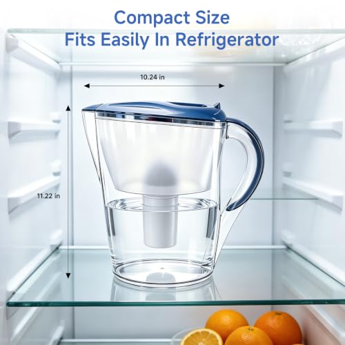 Water Filter Pitcher with 2 Replacement Filters