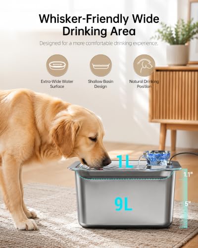 2.56Gal Large Dog Water Fountain Dispenser