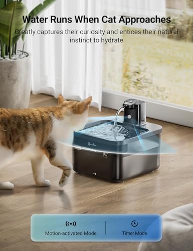 Cat Water Fountain Cordless