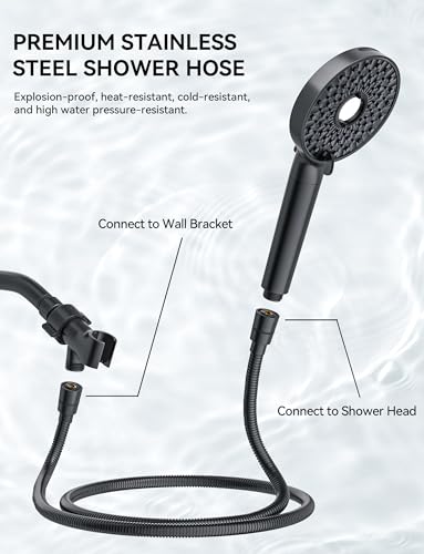 Shower Head with Handheld