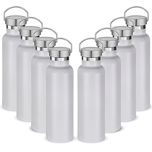 20 oz Insulated Water Bottles (8 Count)
