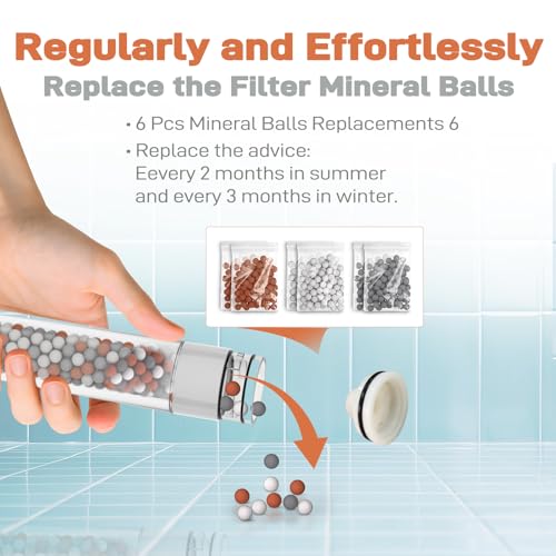 Filtered Handheld Showerhead with 30