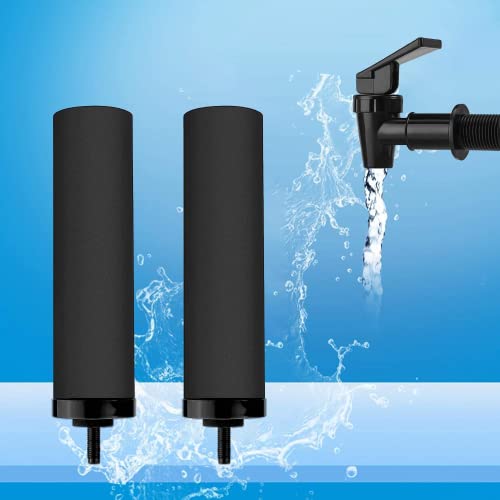 2PCS Black Water Filters