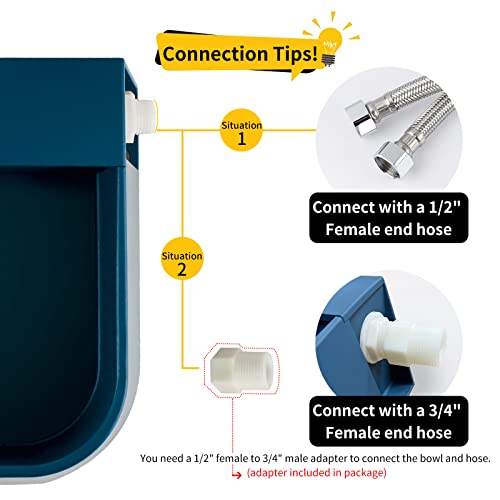 Automatic Water Dispenser for Dogs