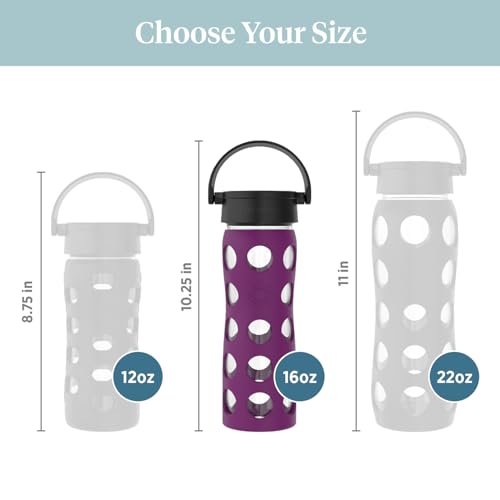 16-Ounce BPA-Free Glass Water Bottle with Classic Cap and Protective Silicone Sleeve, Plum