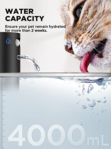 Cordless Cat Water Fountain