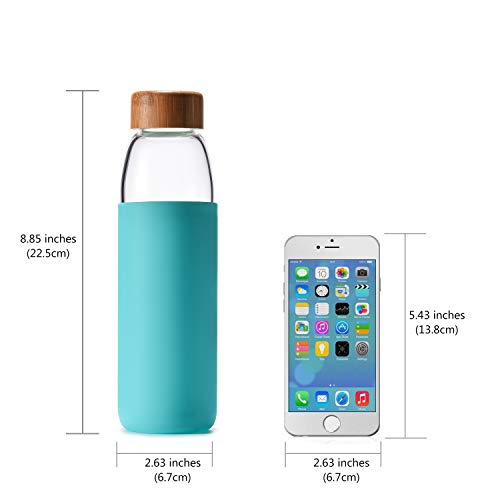 18 Oz Borosilicate Glass Water Bottles with Bamboo Lid