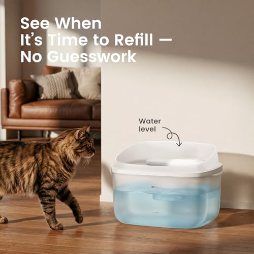 Cat Fountain 1 Gallon