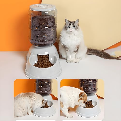 Automatic Dog Feeders