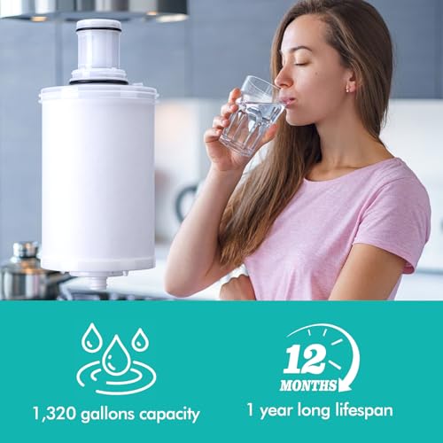 100186 Replacement Filter Cartridge Compatible with Amway espring Water Filter System