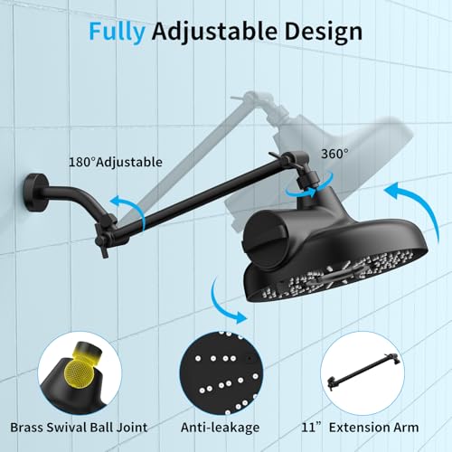 8 Inch Filtered Shower Head with Extension Arm Matt Black