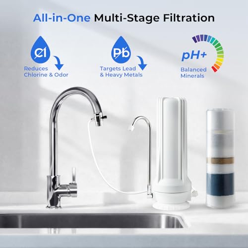 CT10 W Countertop Water Filter