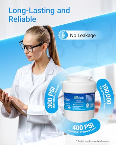 EFF 6013A Refrigerator Water Filter