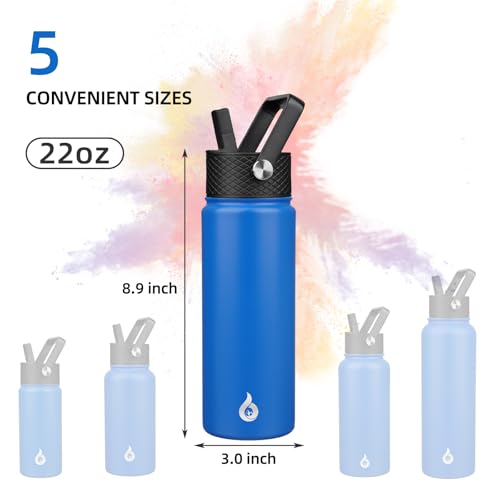 22oz Insulated Water Bottle with Straw Lid