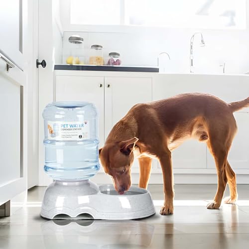 3 Gallon Dog Water Dispenser for Large Dogs