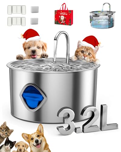 Dog Bowl for Small Dogs
