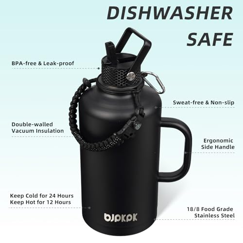 87oz Insulated Water Bottle with Straw Lid Stainless Steel Water Jug