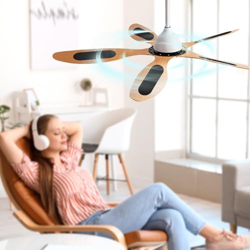 20 Pack Ceiling Fan Filters