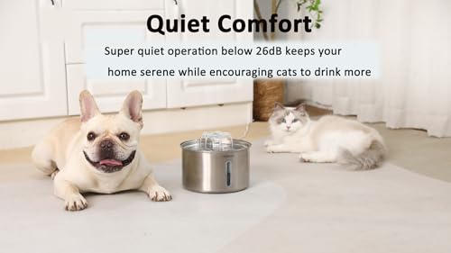 Stainless Steel Cat Fountain (102 Ounce)