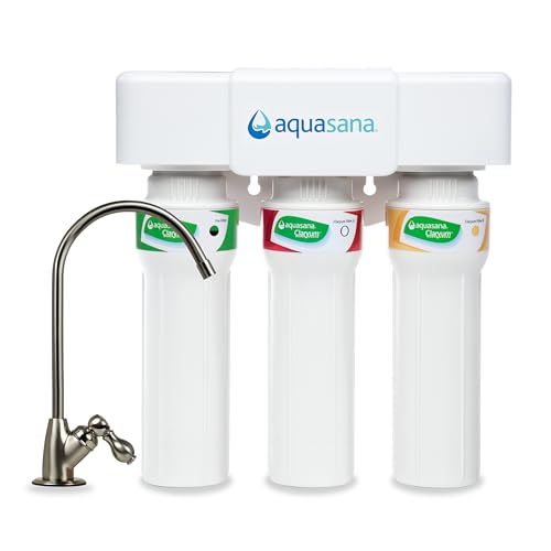 Under Sink Water Filter System