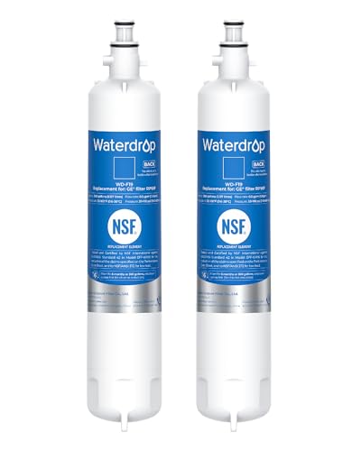 WD F19 Refrigerator Water Filter Replacement for GE® RPWF (2 Count)