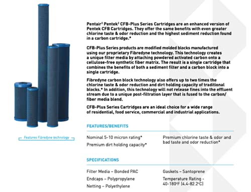 Pentair Pentek CFB