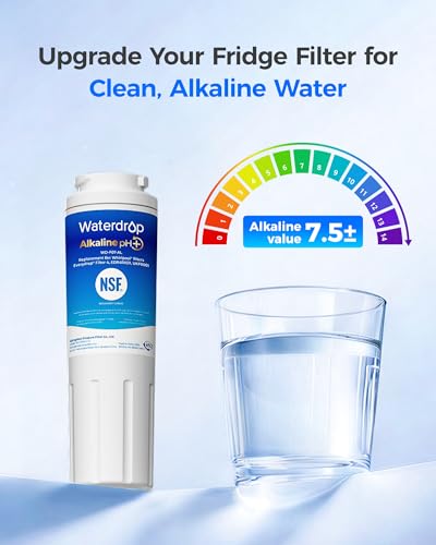 Alkaline UKF8001 Refrigerator Water Filter 4 (2 Count)