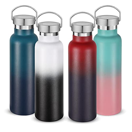 20 oz Insulated Water Bottles Bulk 4 Pack (4 Count)
