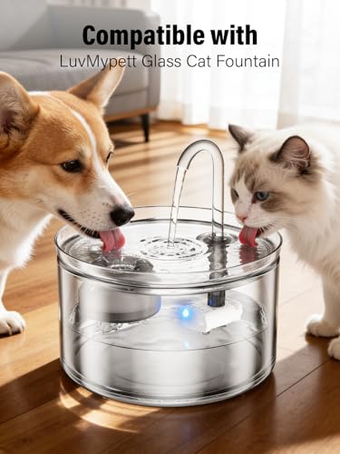 Glass Cat Water Fountain Filter Replacement Set