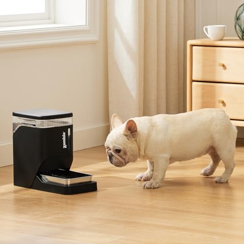 Automatic Dog Water Dispenserr 6L with Stainless Steel Bowl