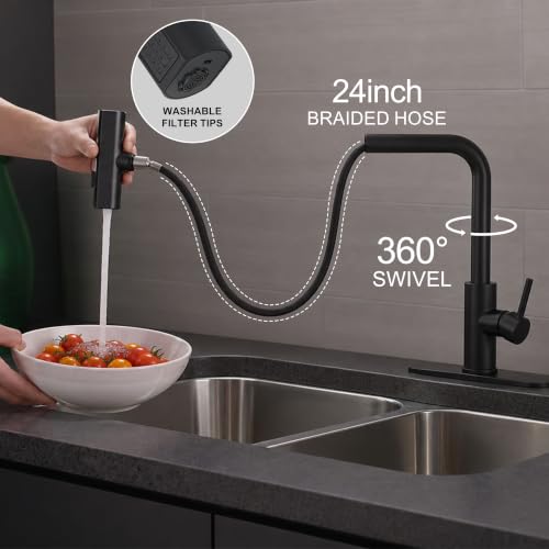 Kitchen Faucet with Pull Down Sprayer
