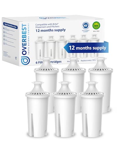 Pitcher Water Filter Replacement for Brita® Filters (6 Count)