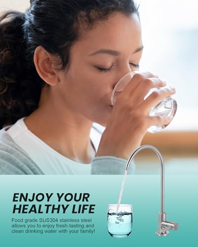 Kitchen Faucet and Water Filter Faucet