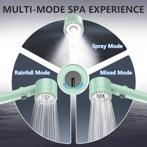 Filtered Shower Head with Handheld