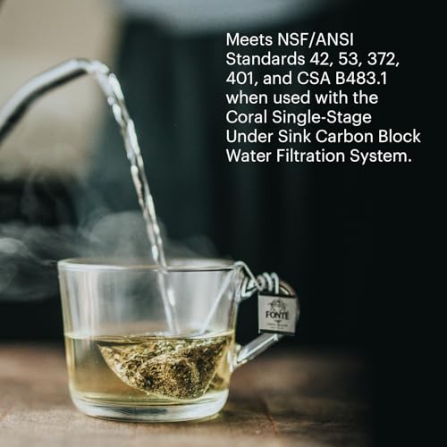 UF-15 Single-Stage Carbon Block Water Filter Replacement for Coral Under Sink Filtration System, Lasts 6 Months