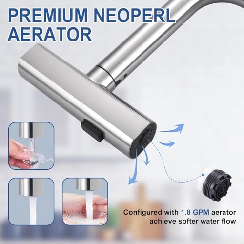 Kitchen Faucet with Pull Down Sprayer
