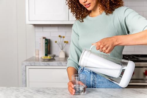 Home Water Pitcher Replacement Pack