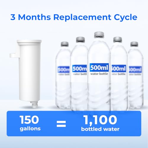 C33 Ice Maker Filter