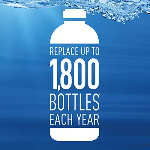 Water Bottle Filter Replacements (2 Count)