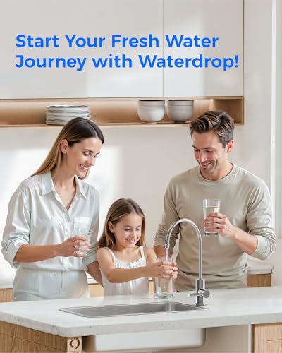 G2FCT Chrome Reverse Osmosis Water Filter Faucet