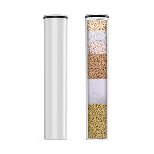 Shower Head Filter Cartridge 2 (2 Count)