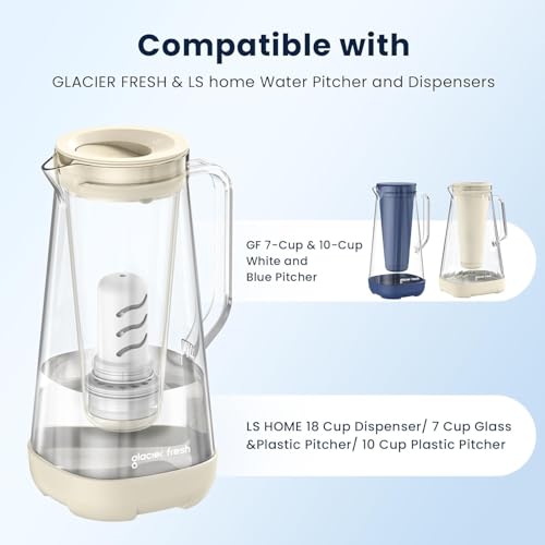 Pitcher Filters Compatible with LifeStraw (2 Count)