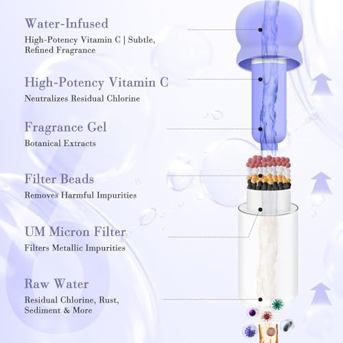 Vitamin C & Aromatherapy Skincare Spa Shower Head with Handheld