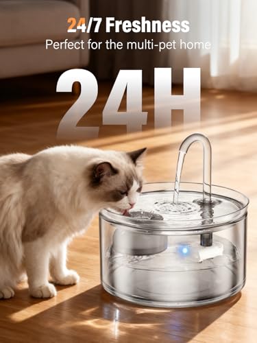 Glass Cat Water Fountain Filter Replacement Set