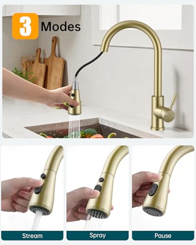 Vintage Kitchen Faucet