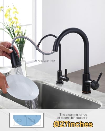 Kitchen Faucet and Water Filter Faucet Combo