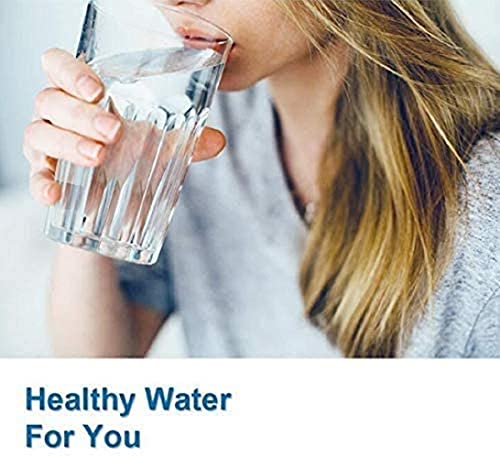 9690 Refrigerator Water Filter (2 Count)