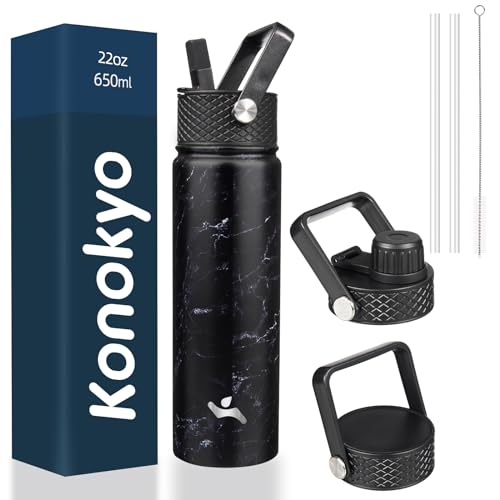22 oz Insulated Stainless Steel Water Bottle with Straw Lid